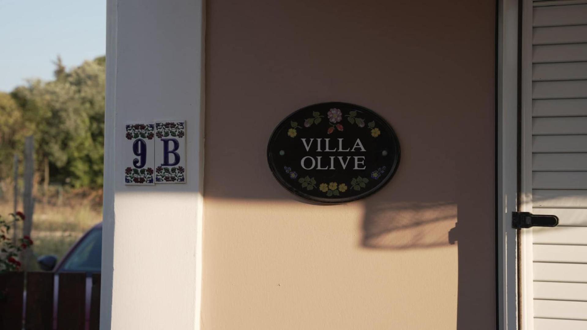 Villa The Olive Grove Plános
