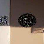 The Olive Grove