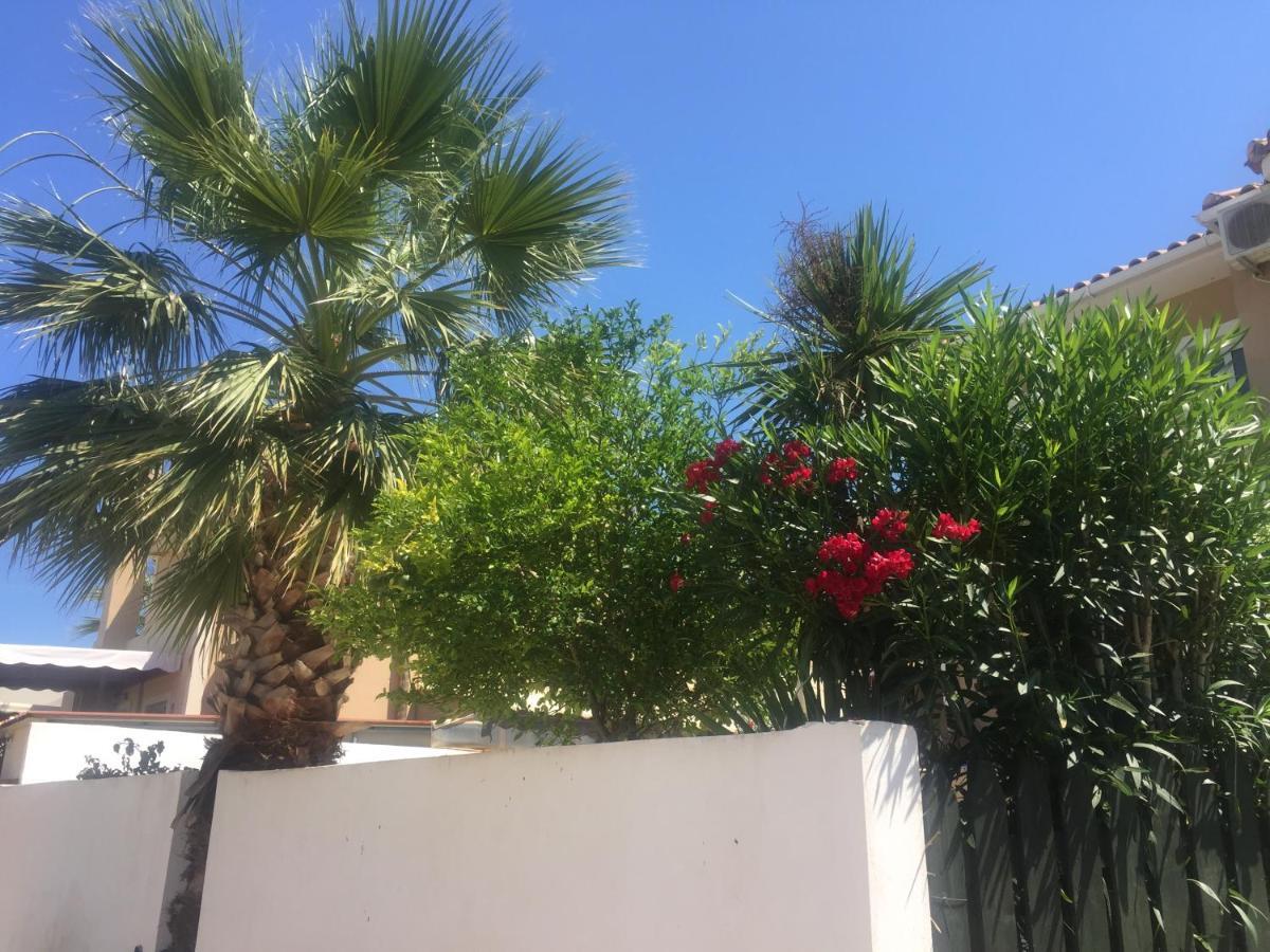 The Olive Grove